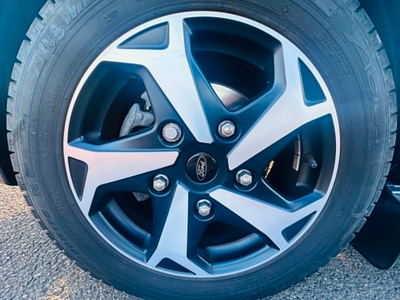 
								2023 Custom Active + Long Wheel Base Nugget full									